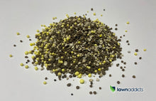 Load image into Gallery viewer, 2Spec Establish 4kg